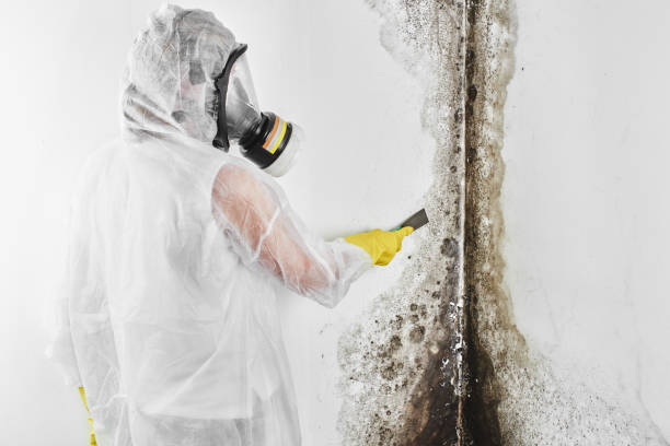 Crawl Space Mold Removal in Stratford, WI