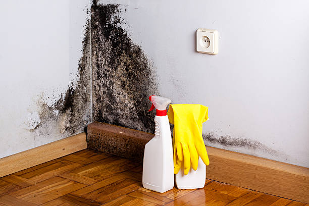 Best Crawl Space Mold Removal  in Stratford, WI